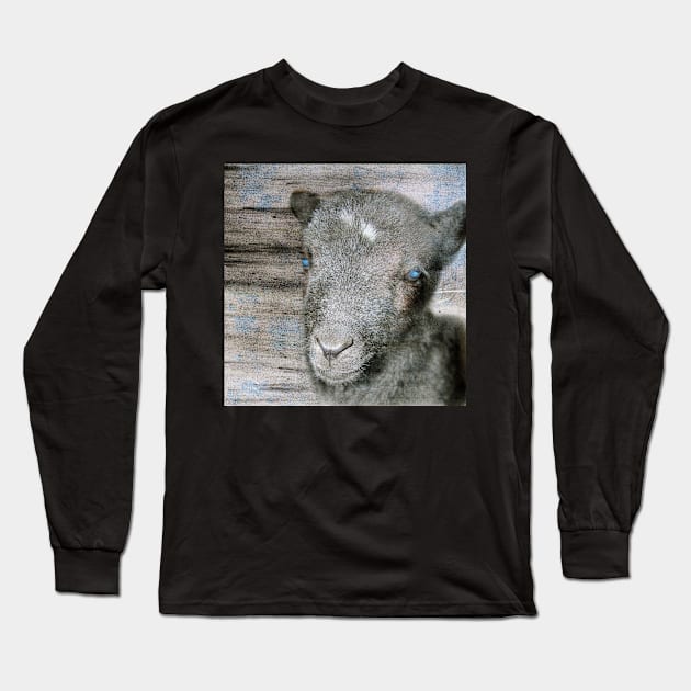 Lambkin | Cute lamb Long Sleeve T-Shirt by WesternExposure